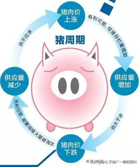 颍上县生猪今日价格（湖北生猪价格今日猪价最新）