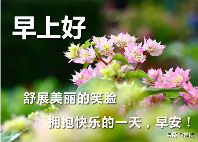 早安心语：人生难免经受挫折，风雨过后就是彩虹
