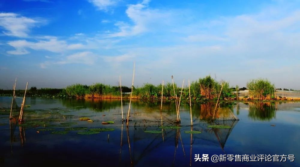 价格大跳水，阳澄湖大闸蟹的生死危机