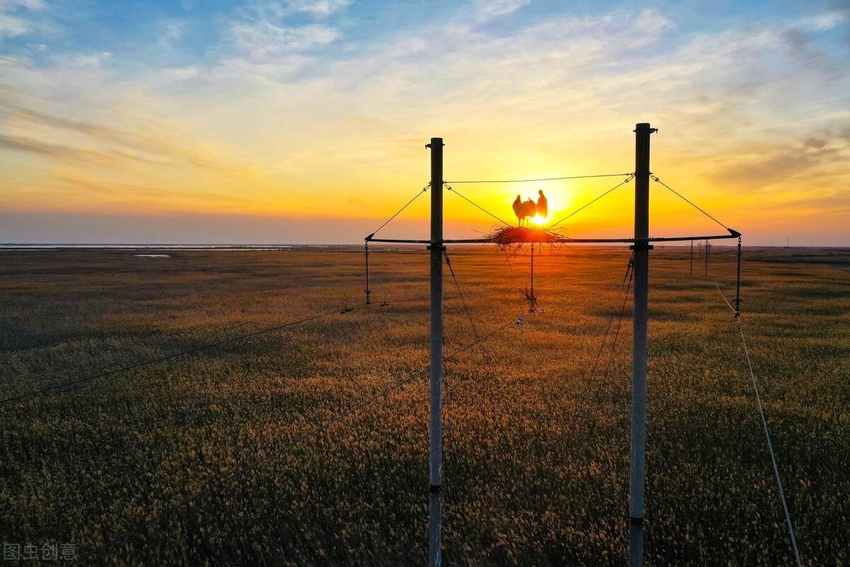 人生在世，只欠父母恩情