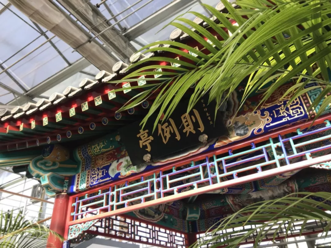 北京这个学校很“火”！坐拥3大花园、果园、动物园，集美貌与知识于一体！