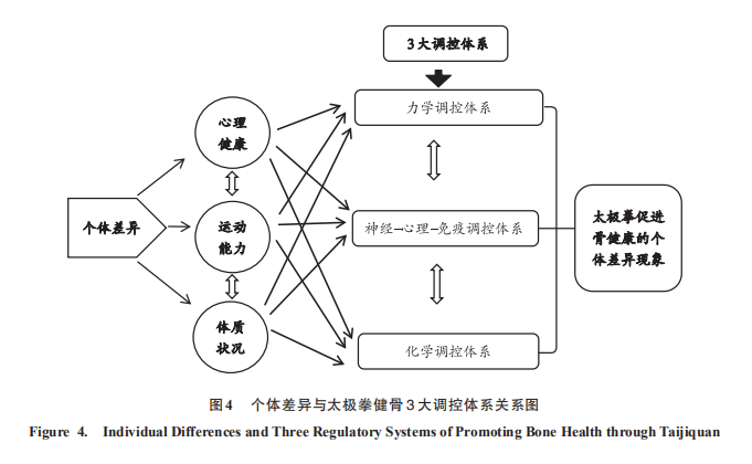 太极拳健骨机理