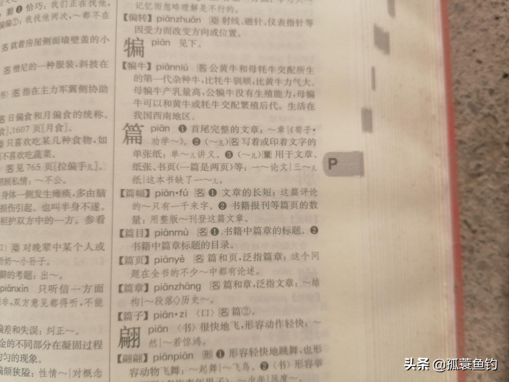 篇有主旨：寻找主旨句