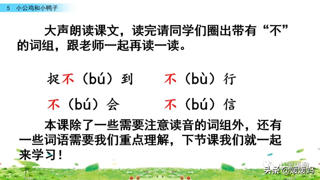 一年级下册语文课文5《小公鸡和小鸭子》图文详解及同步练习