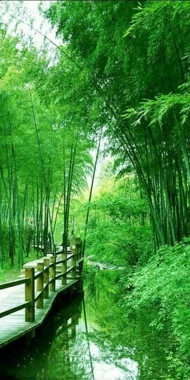 妈妈，我们总是把你藏在你的心里。