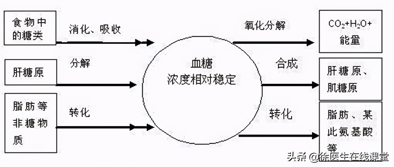 血糖高怎么办？医生教你三招，守护健康稳定血糖