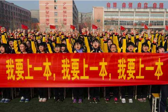 高考卷被盗案杨博出狱（那场世纪高考大案）