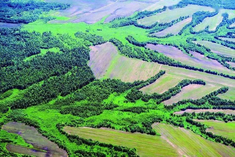 中国环境科学院（中国科学院西北生态环境资源研究院公开招聘启事）