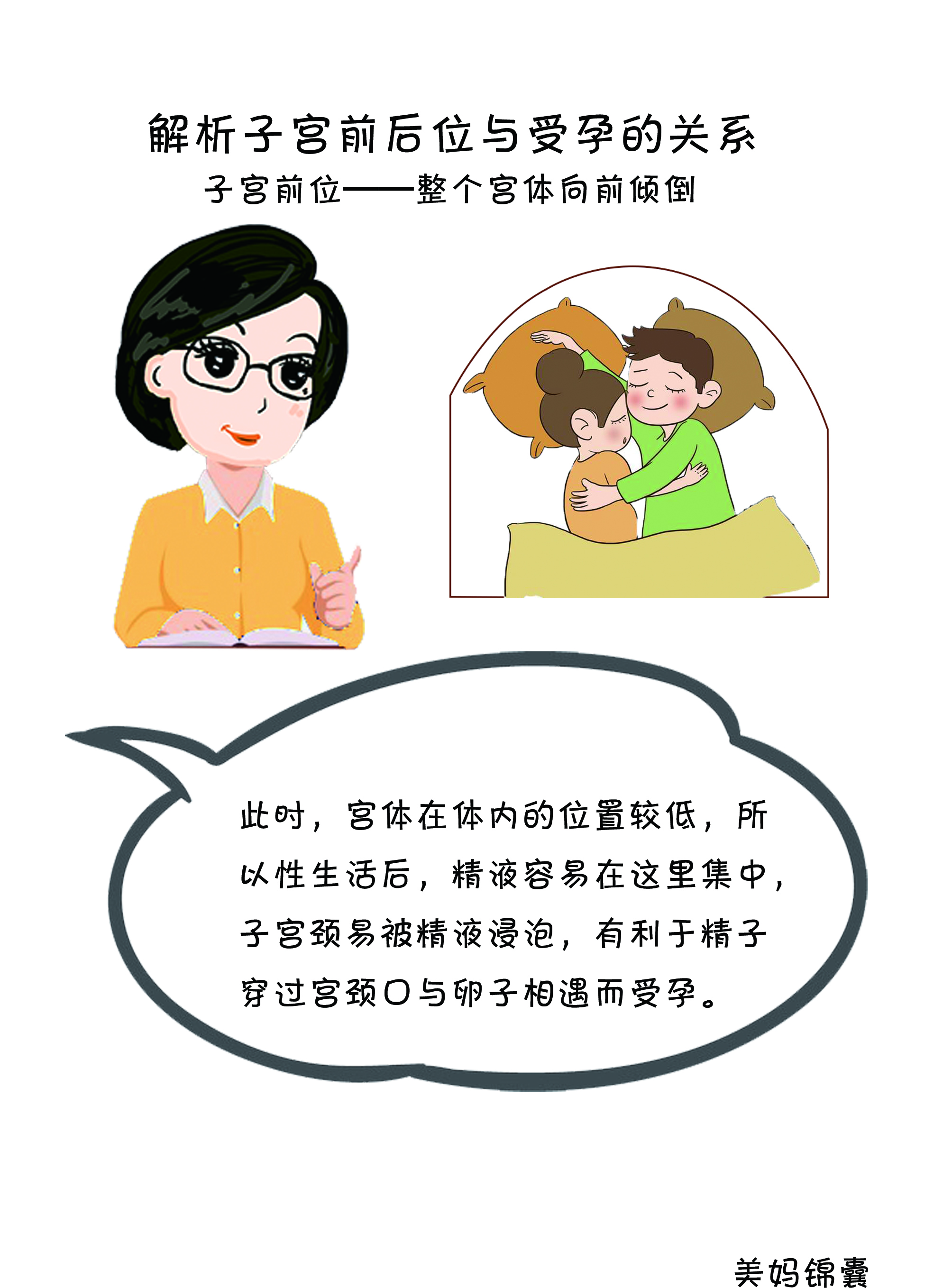 子宫颈在什么位置(女性子宫位置与受孕的关系)