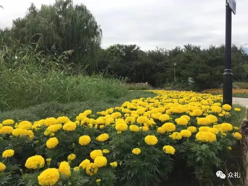 假期亲子礼品之旅游套票—北京国际鲜花港+大美儿童世界