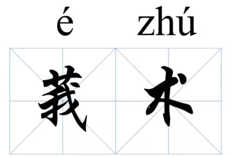 莪术的药用价值与临床应用探析