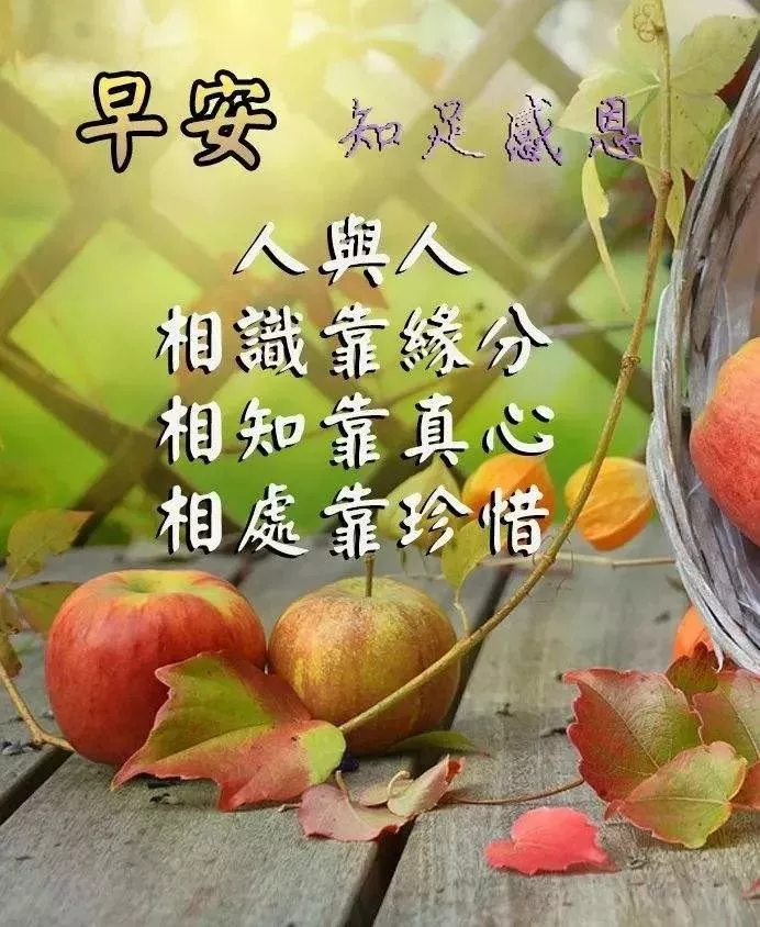 心中有爱，才能春暖花开；心中有善，才能美丽常在，早安