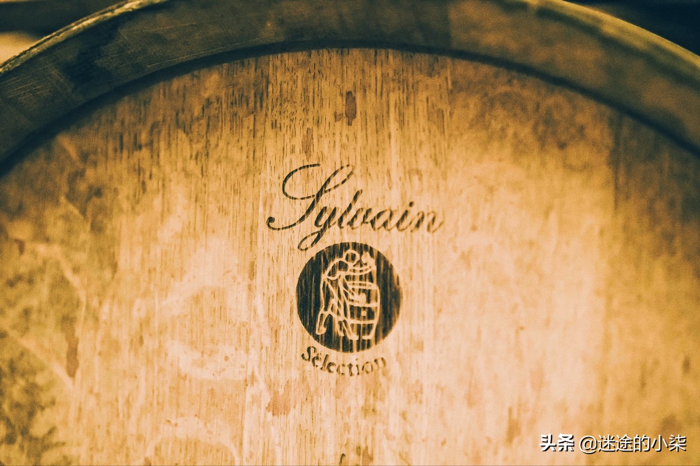 葡萄美酒月光杯，我要去这里喝一杯