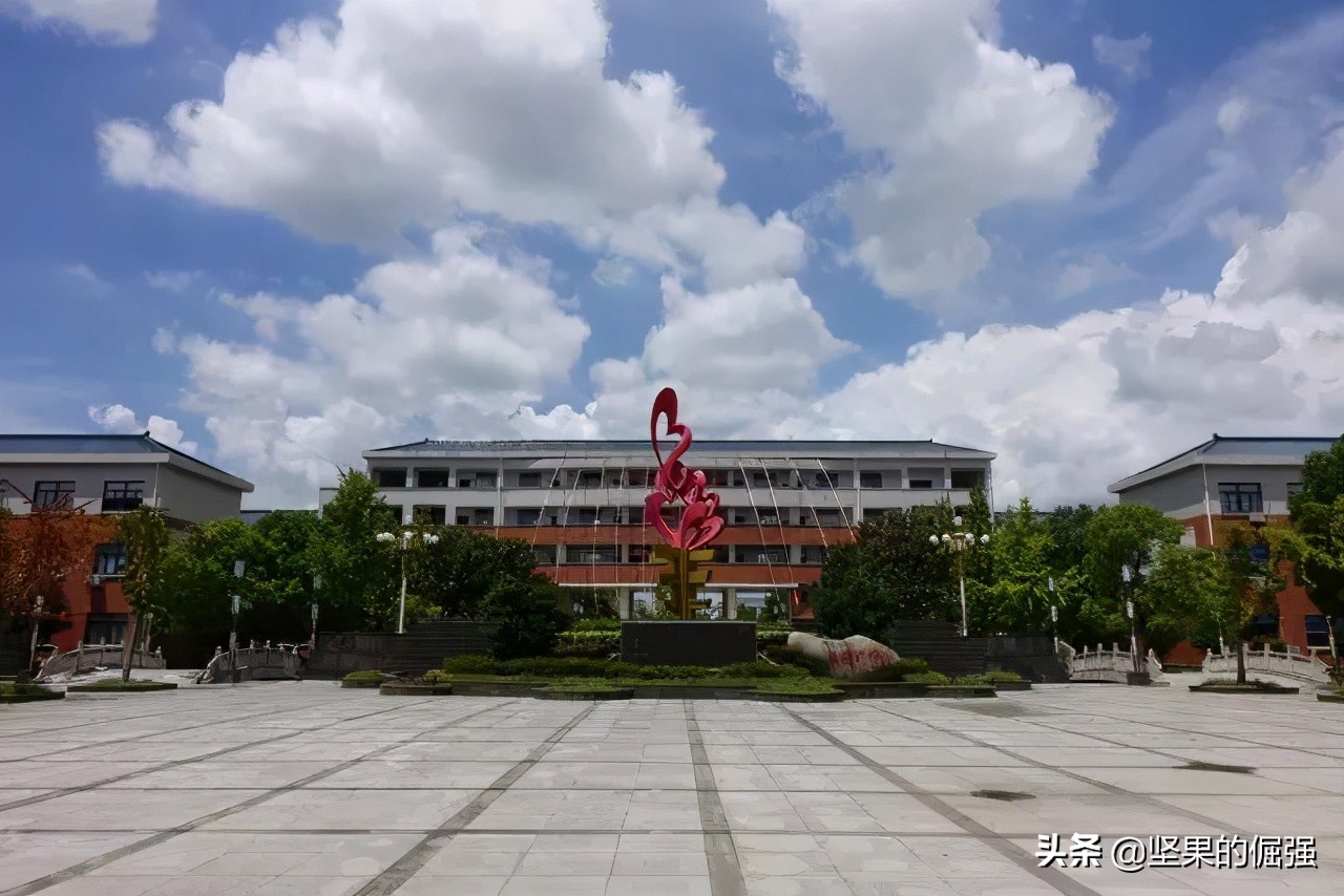 苏州市九所优质民办初中，附四星级高中达线率