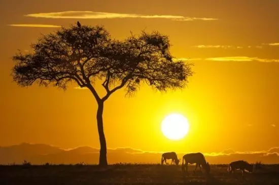 卖糖葫芦的王大爷，是如何破解德国人的“真经”的？