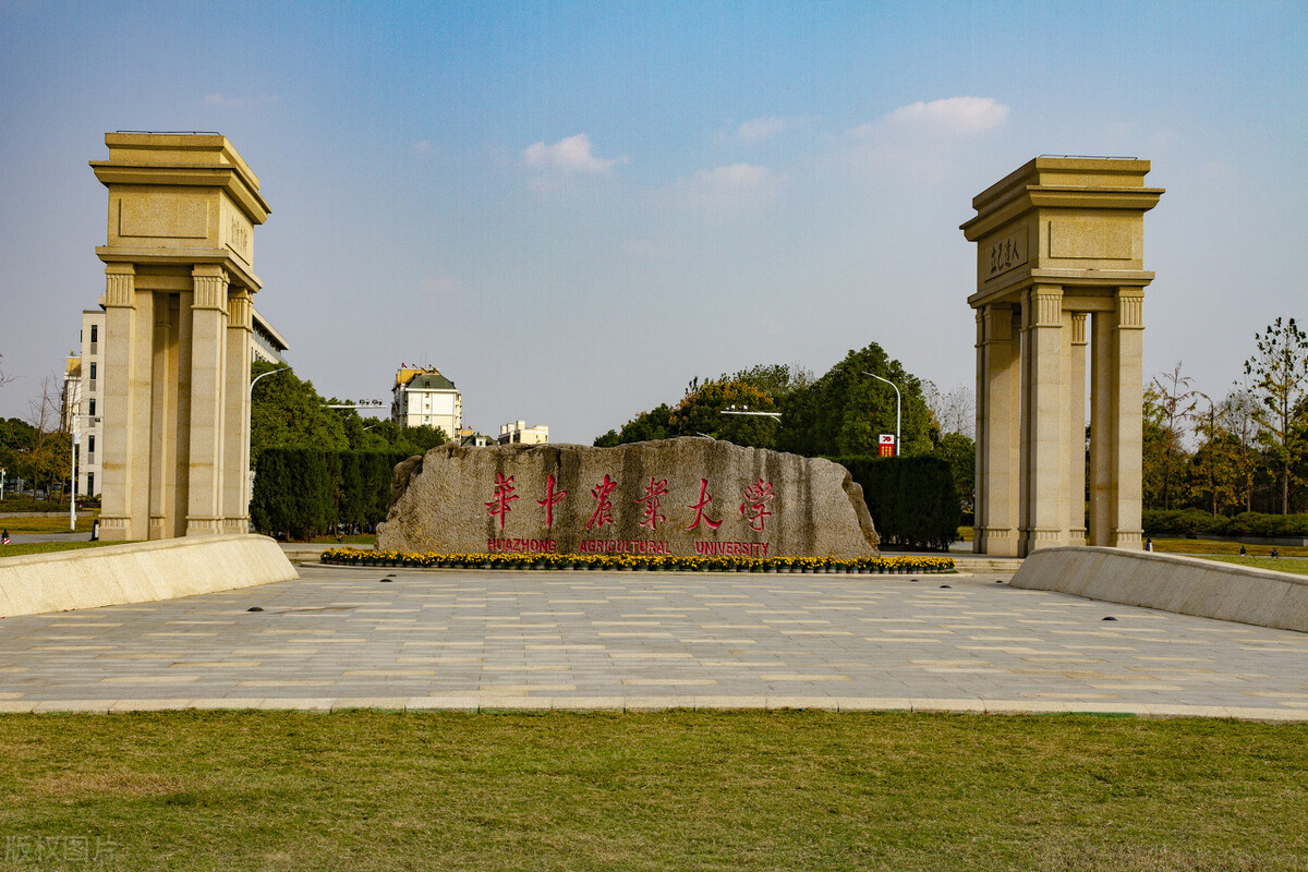 被曝“天价食堂”的这所211高校！报录比居然仅1:1