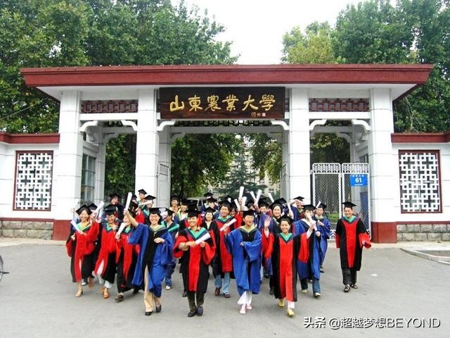 山东农业大学2020年山东省本科各专业录取分数统计