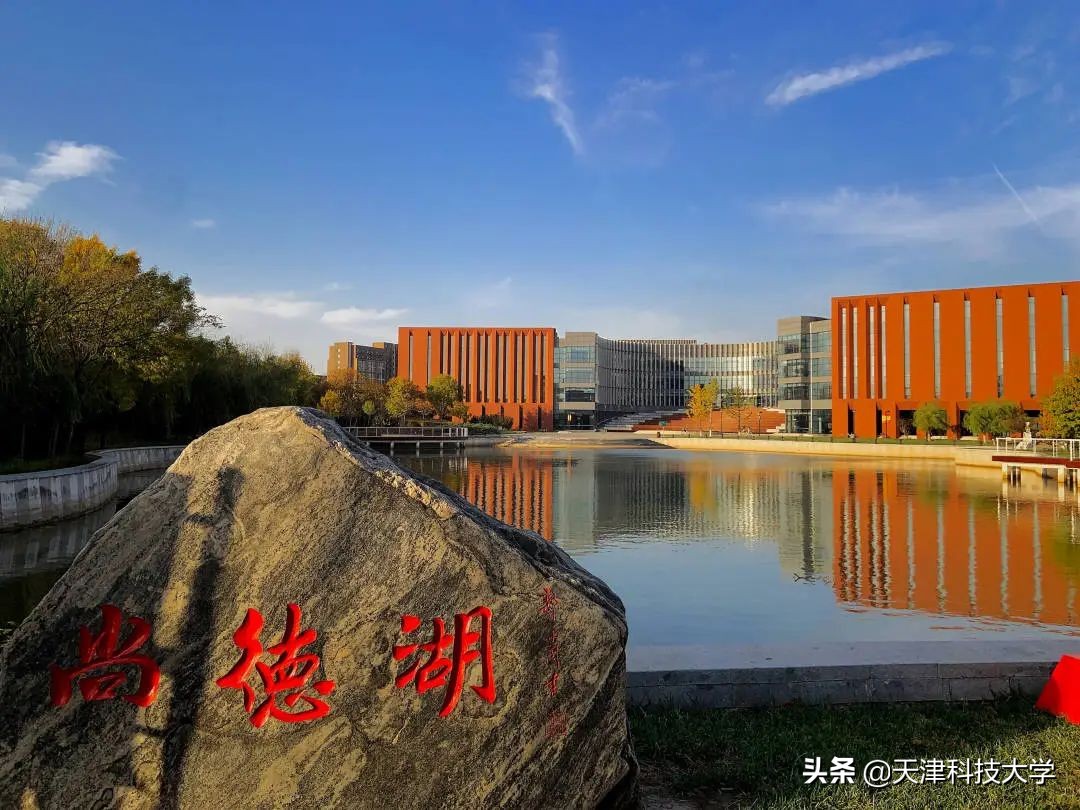 【毕业季】一枝一叶总关情，让我再次走近您（滨海校区）