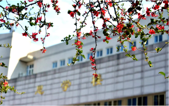 四川这所大学又火了！坐拥“网红”打卡地，还能偶遇各种“校花”