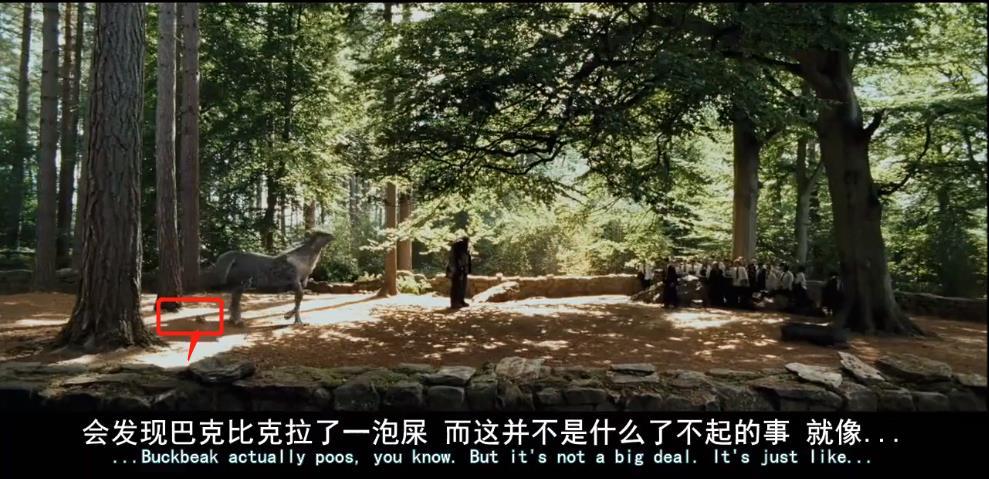 哈利波特德拉科英文名(《哈利波特冷知识4》：马尔福是假人，摄魂怪是作者抑郁具象化)