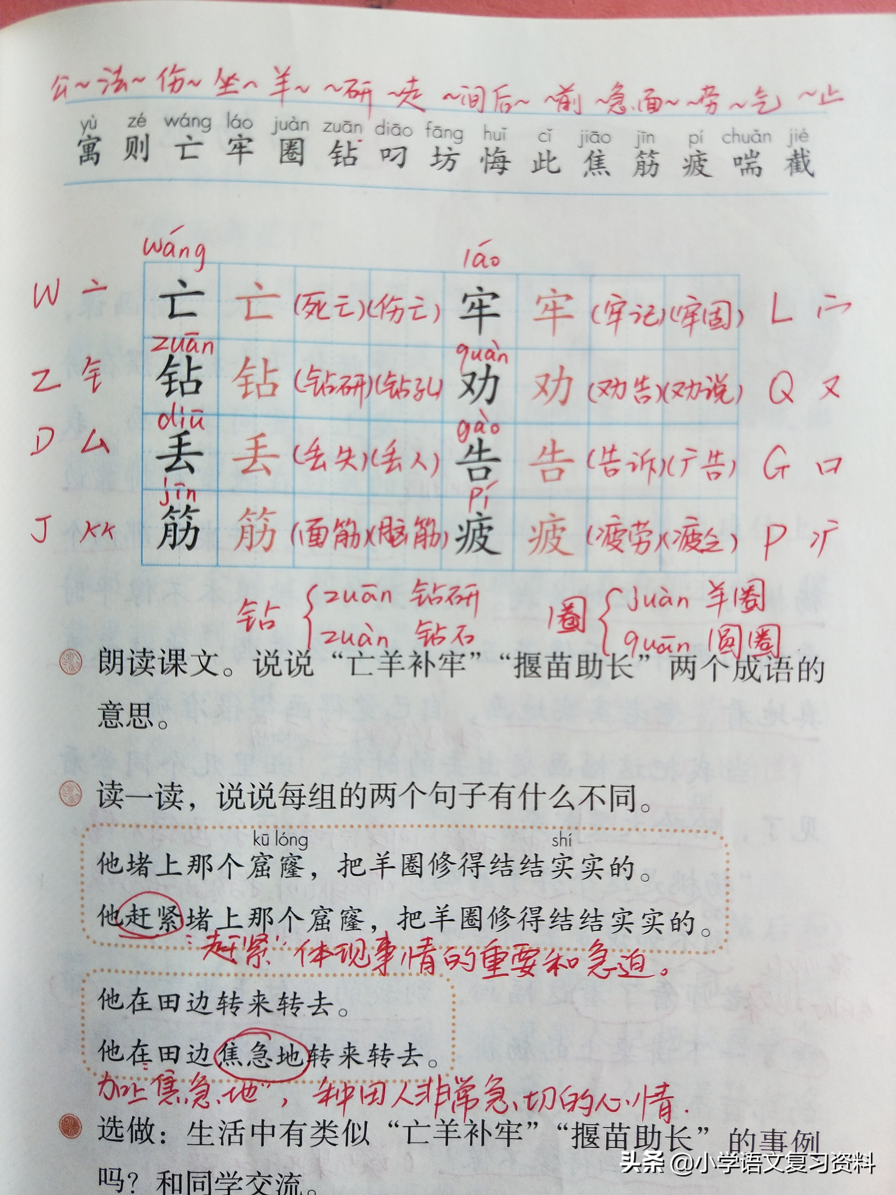 二年级下册语文园地四/寓言二则/画杨桃复习笔记,做好复学准备！