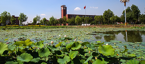 我的大学---------河北政法职业学院