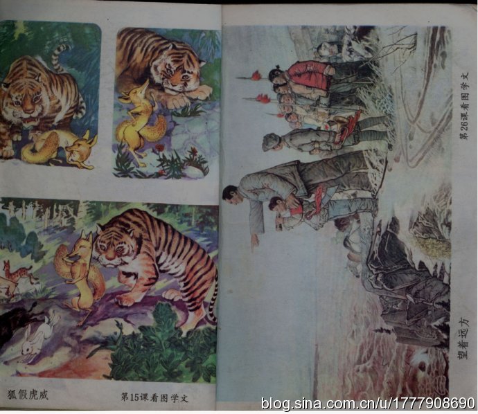 80后一代人的求学记忆：1987-1988年人教版五年制小学语文全集