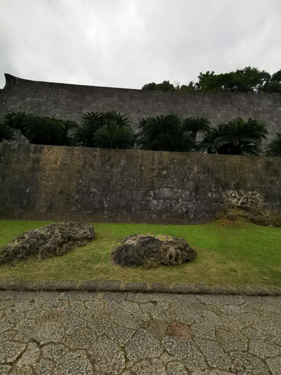 日本经济和社会问题多多，但这两大奇葩问题你可能没细想过