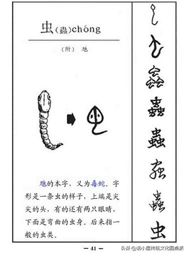 汉字的演变过程 《汉字字体的演变》-起航号