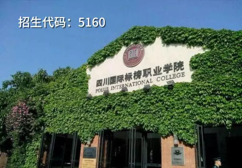 四川2020年高职单招“教育与体育”大类院校