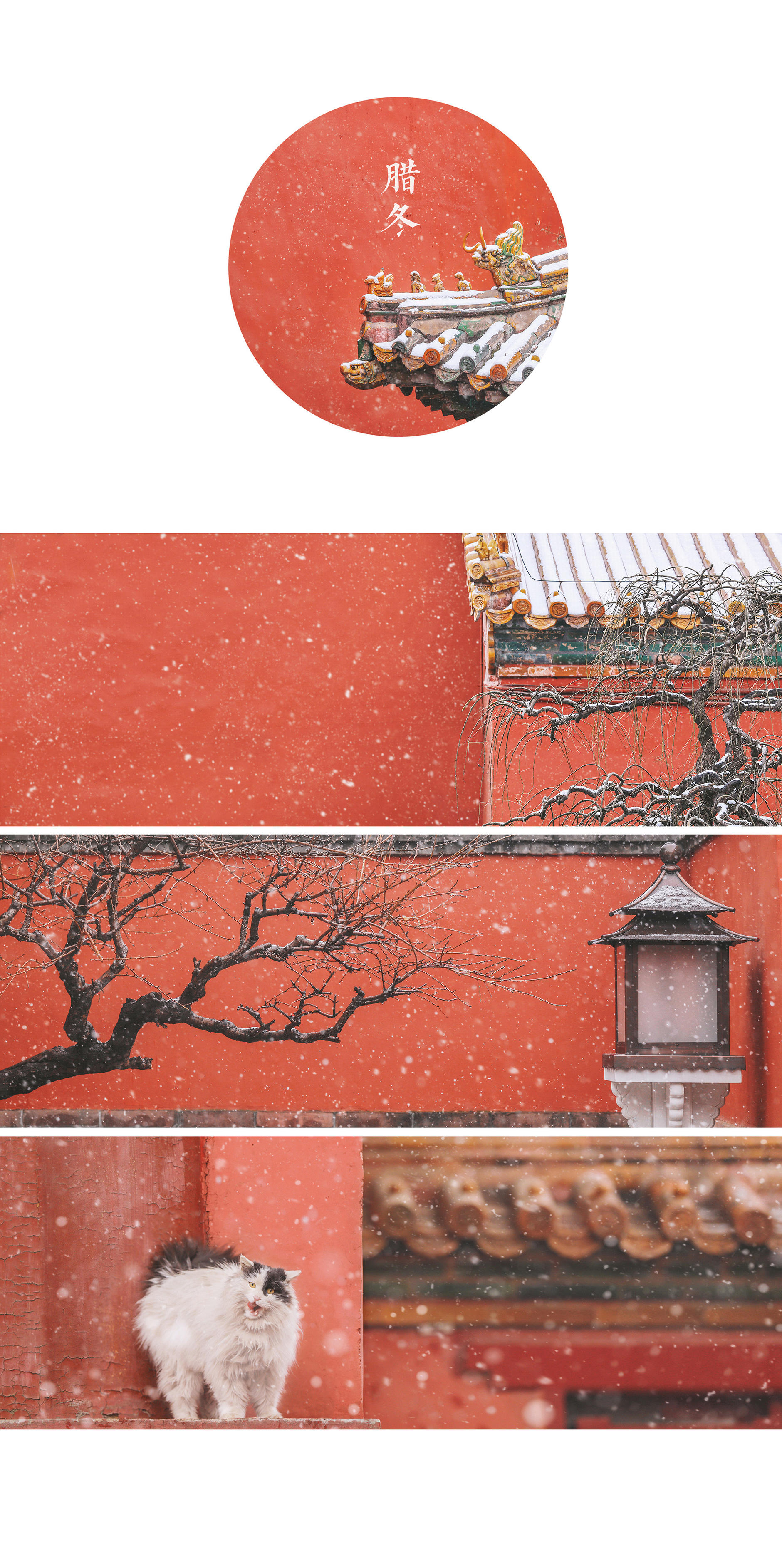 疫情过去了，我们去旅行吧！（北方）
