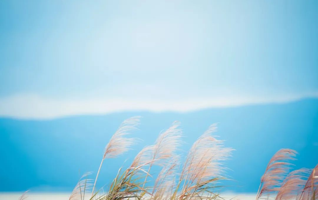 一位从教30年的老师在家长会上的发言：家长有五层，你在哪一层？