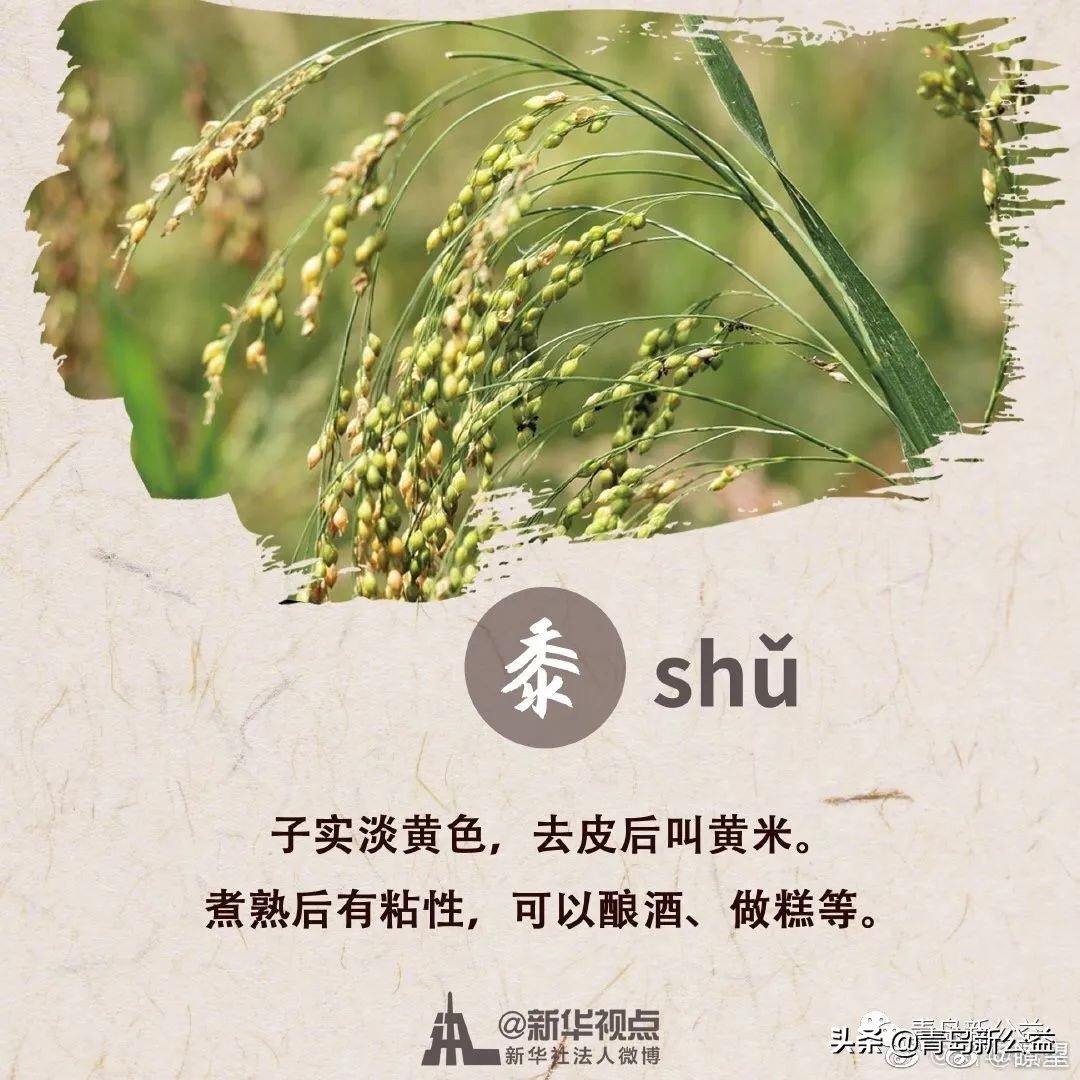 五谷丰登的丰登是指什么_五谷丰登是哪五谷