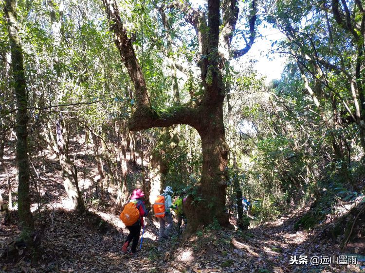 昆明走进自然户外｜坐上动车去广通，穿越秘境雕翎山