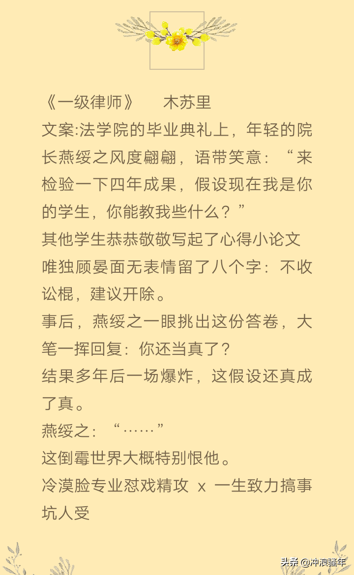 「纯爱」《一级律师》：公理之下，正义不朽