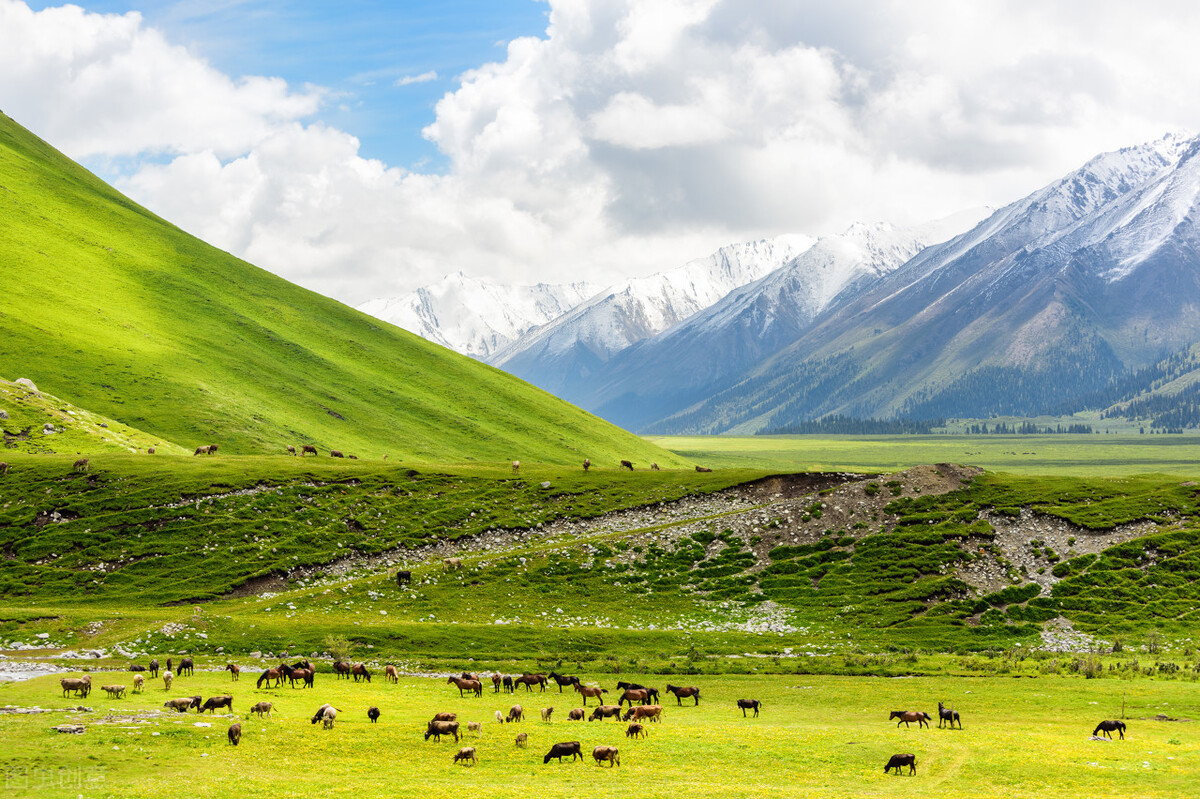 金秋专属,一到秋天就美如画的草原风光,大家一定不能错过