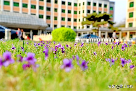 高考报考｜解说国内大学的“江湖称号”（二）