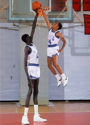 ​NBA历史7大臂展之最：超身高20cm算普通，1人臂展259cm站着抓筐