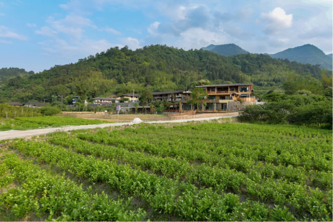 栖一座小院，静守岁月流年，从福州的这些民宿里开始