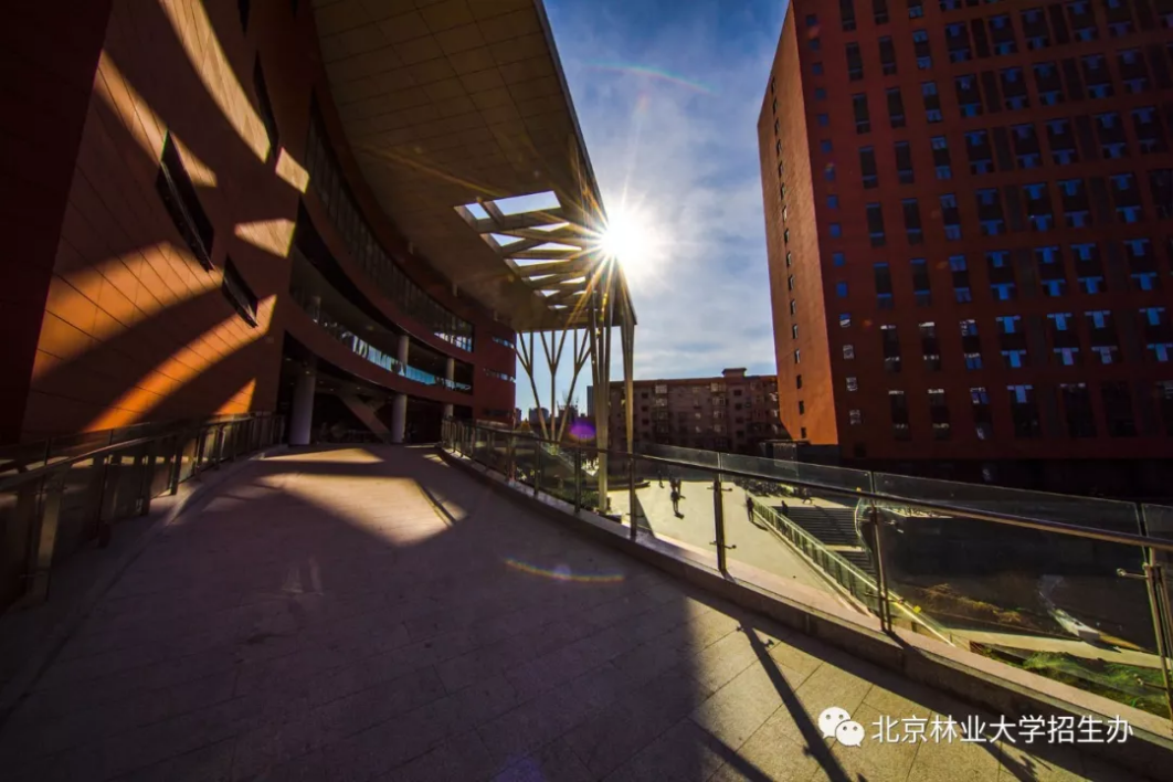 北京“绿色学府”：占地13176亩，坐拥8大餐厅，新华社、中央电视台聚焦关注！