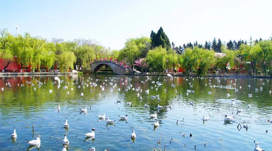 中国最适合读大学的十座城市，你最想去哪里？