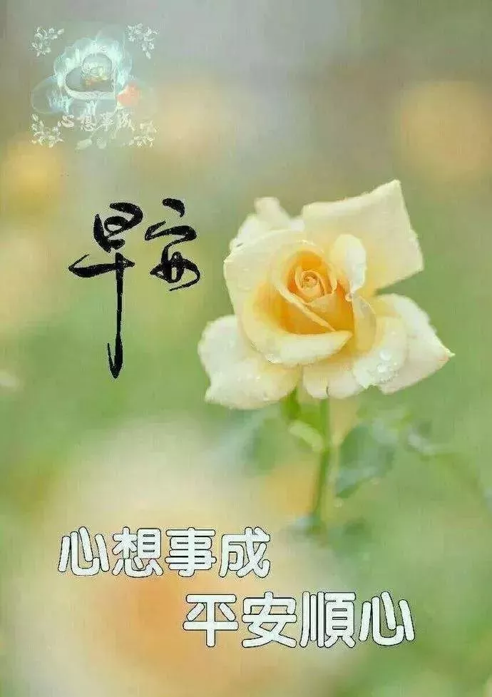 心中有爱，才能春暖花开；心中有善，才能美丽常在，早安