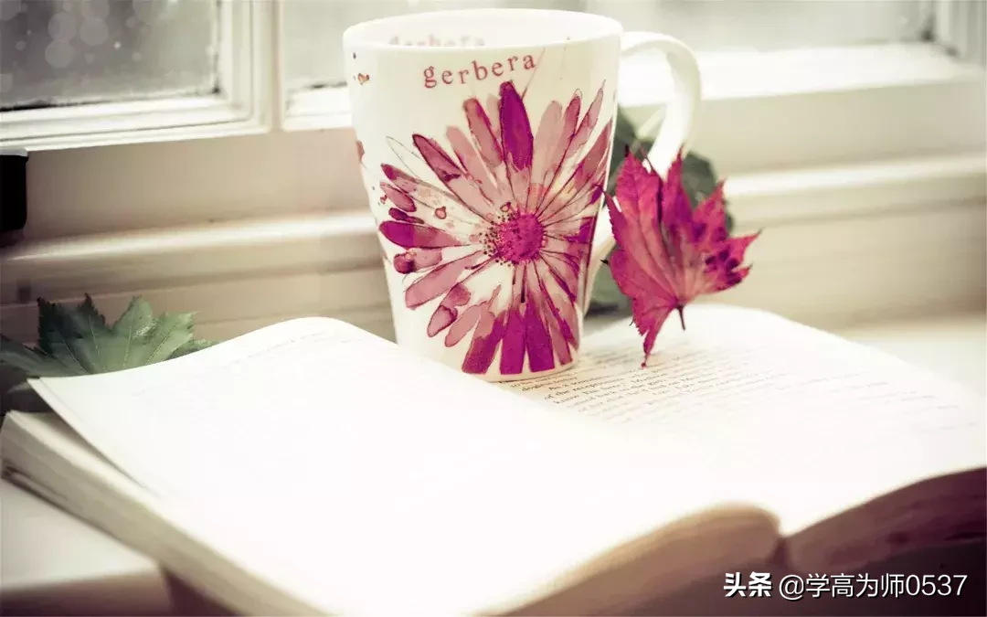 《西游记》中的绝美对白：智慧与哲思的诗意流淌