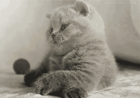 足球与网球哪个容易受伤（女性膝关节比男性早“坏”10年！医生提醒几种运动加重磨损）