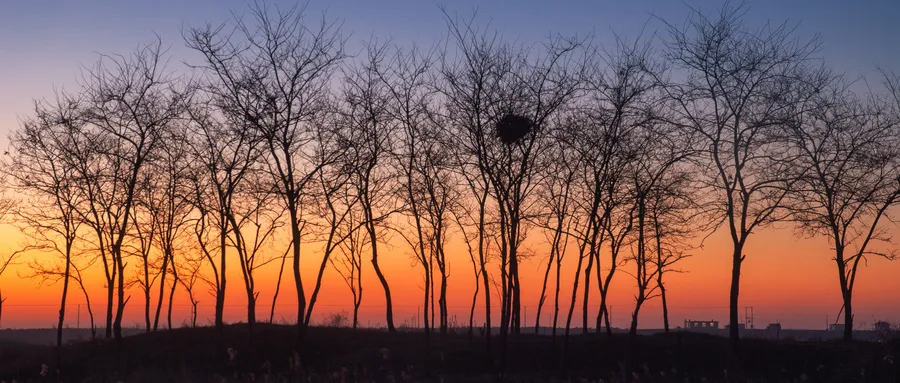 可靠的中医院推荐！这样选医院，肯定不会错