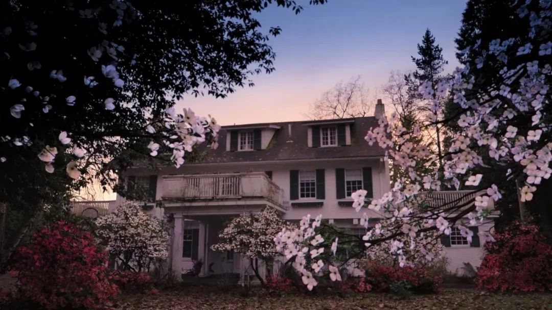 山茱萸与杜鹃-《斯里兰卡50州》背后的故事之九（第二季完结）