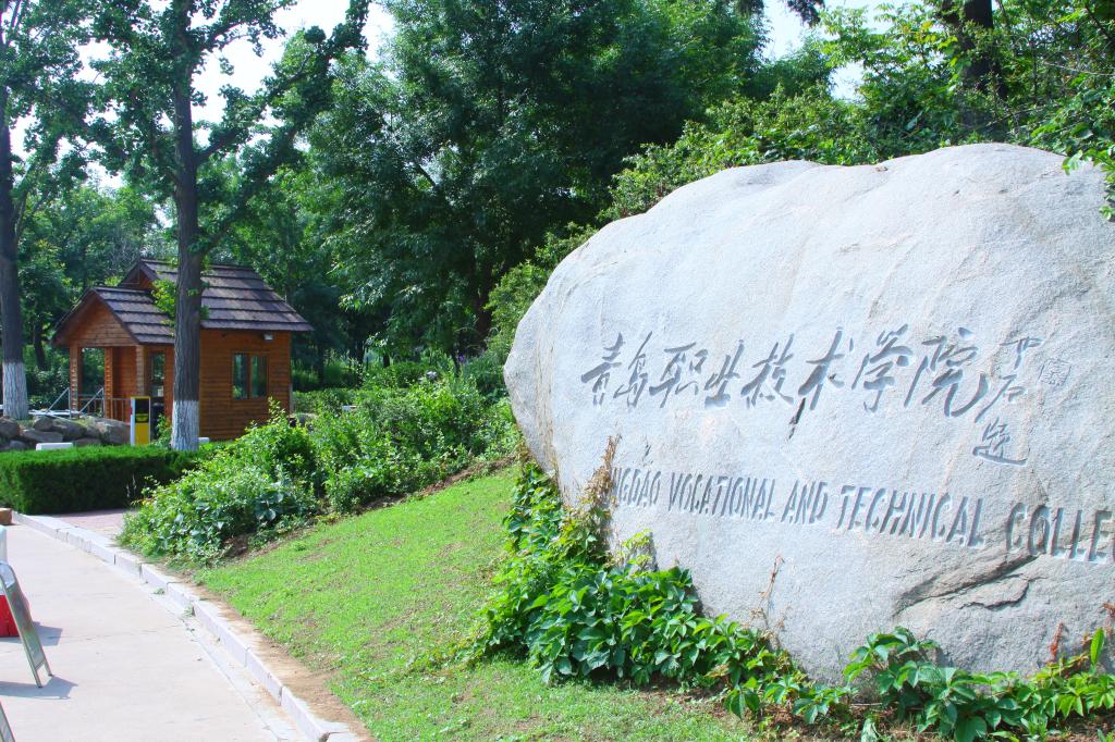 2019年山东省青岛市高职单独招生（综合评价）院校名单