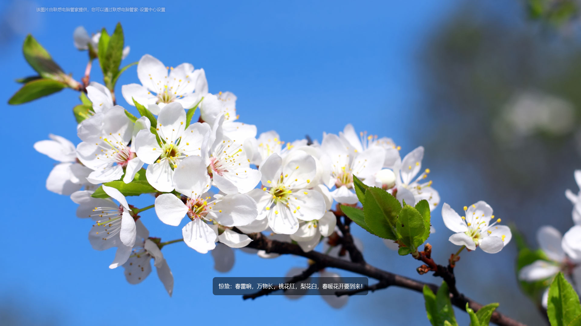 联想高清锁屏壁纸