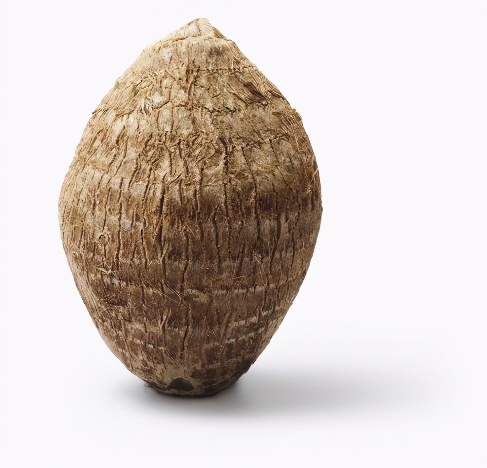 白芋九头芋又被称为狗爪芋,因形状与狗爪极其相似而得名,表皮为褐色