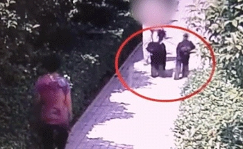 路上遇到恶狗咬人怎么办？打狗头可以自救吗？它的弱点在哪里？